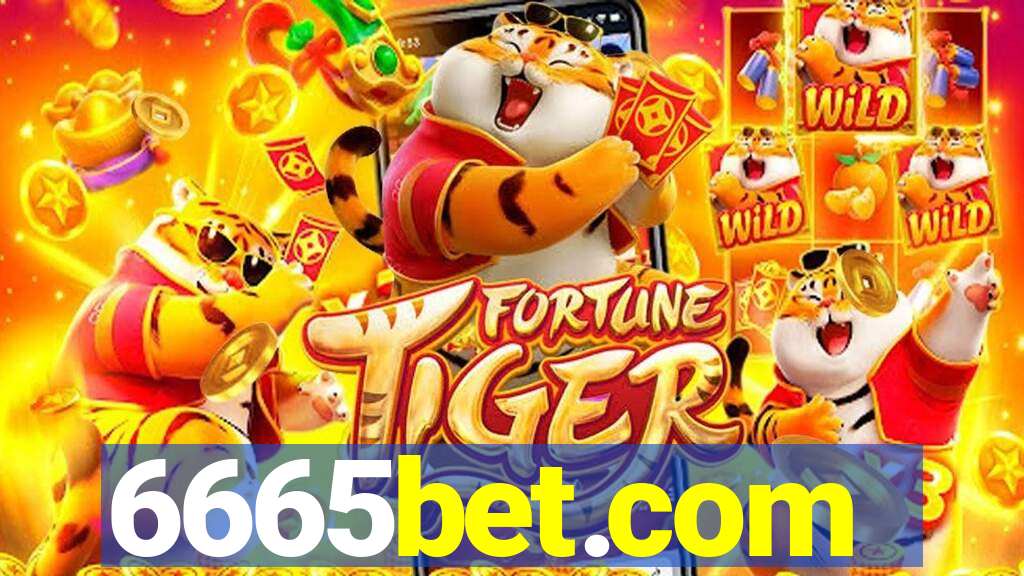 6665bet.com