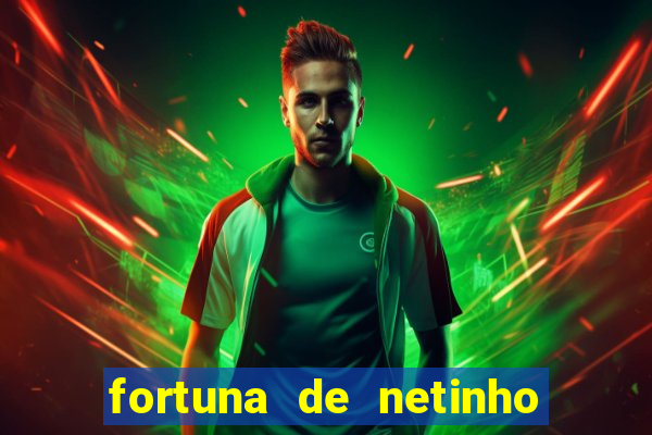 fortuna de netinho de paula