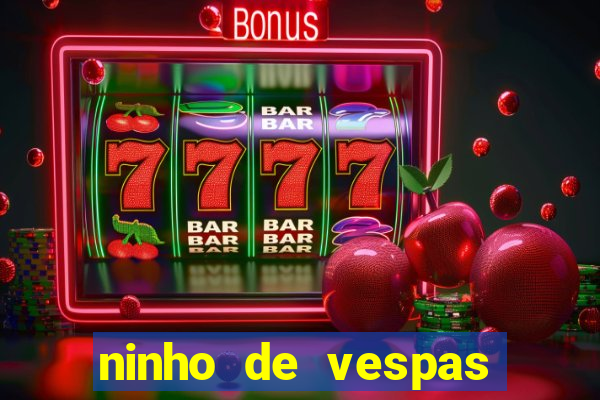ninho de vespas significado espiritual
