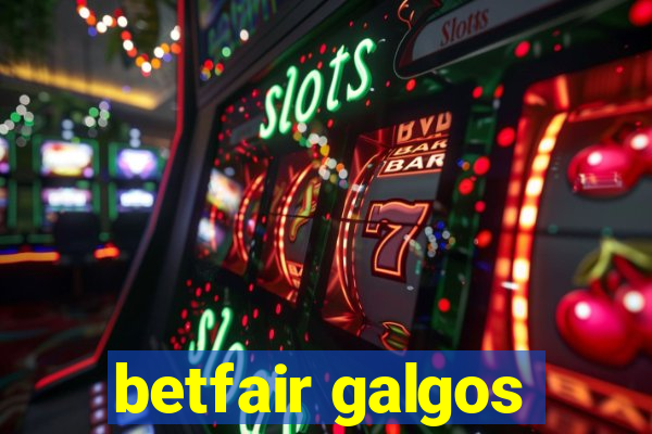 betfair galgos