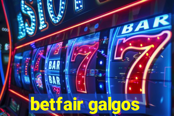 betfair galgos