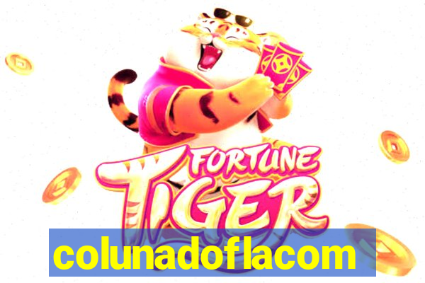 colunadoflacom