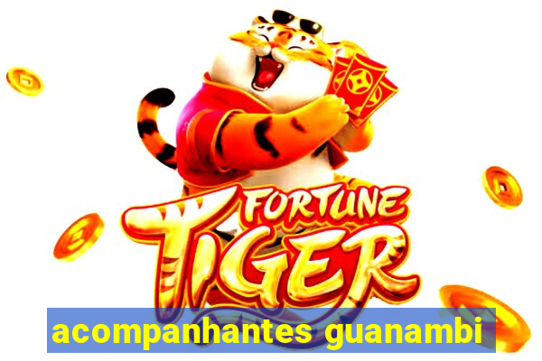 acompanhantes guanambi