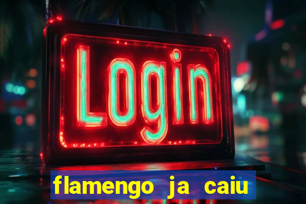 flamengo ja caiu para serie b