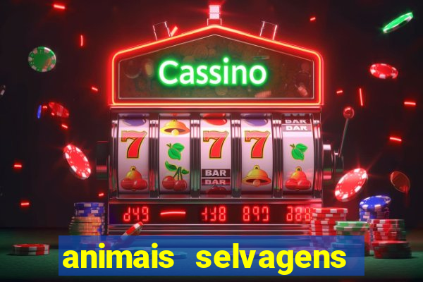 animais selvagens fotos e nomes