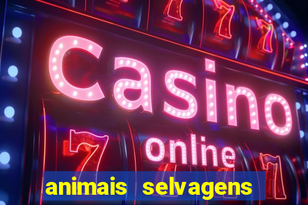 animais selvagens fotos e nomes