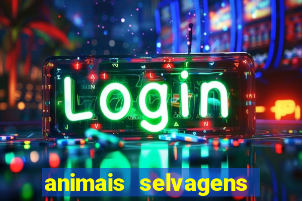 animais selvagens fotos e nomes