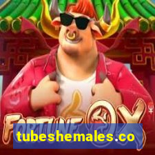 tubeshemales.com