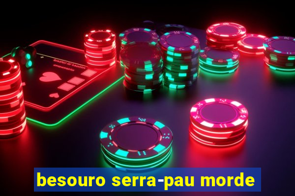 besouro serra-pau morde
