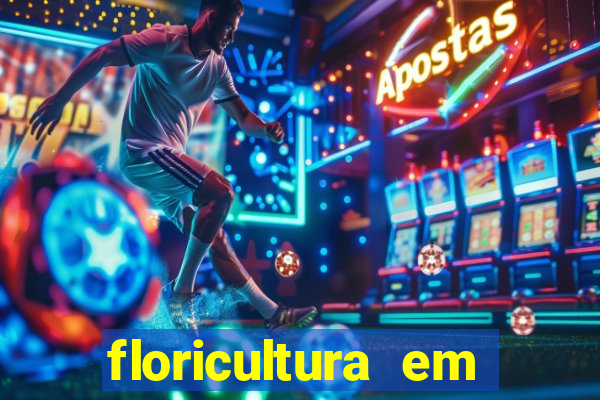 floricultura em franca sp