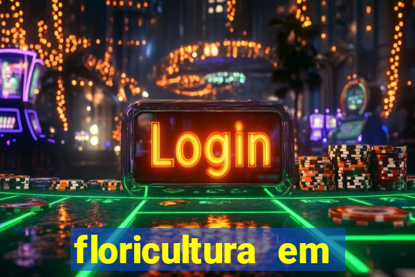 floricultura em franca sp