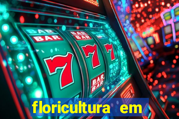 floricultura em franca sp