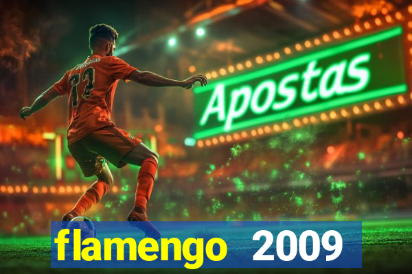 flamengo 2009 campeonato brasileiro
