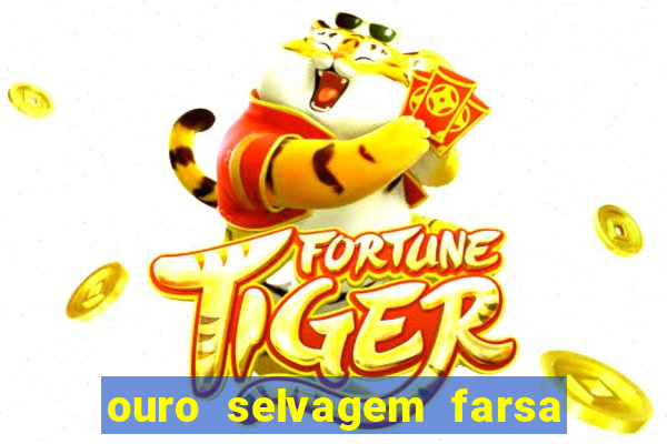 ouro selvagem farsa ouro selvagem o que aconteceu