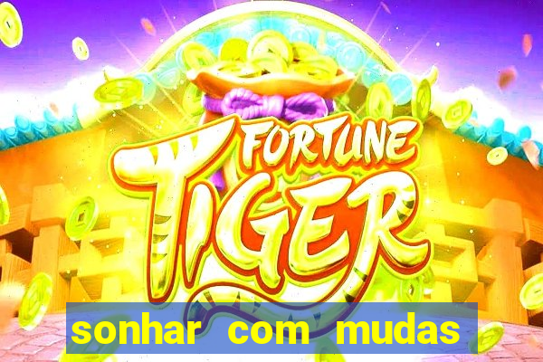 sonhar com mudas de plantas