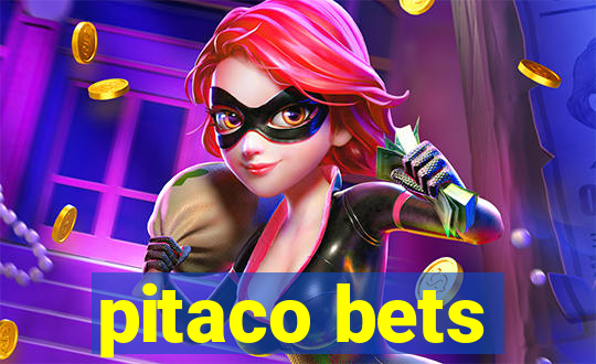 pitaco bets
