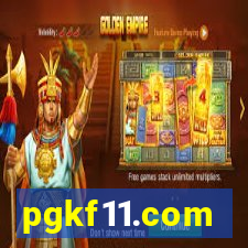 pgkf11.com