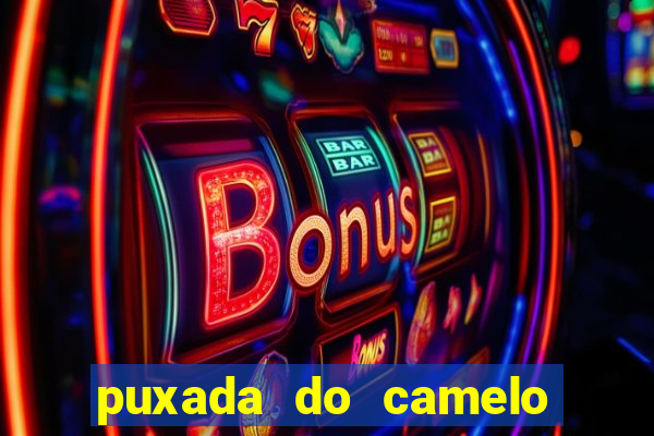 puxada do camelo jogo do bicho