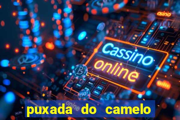 puxada do camelo jogo do bicho