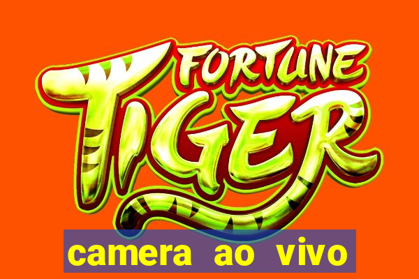 camera ao vivo porto rico