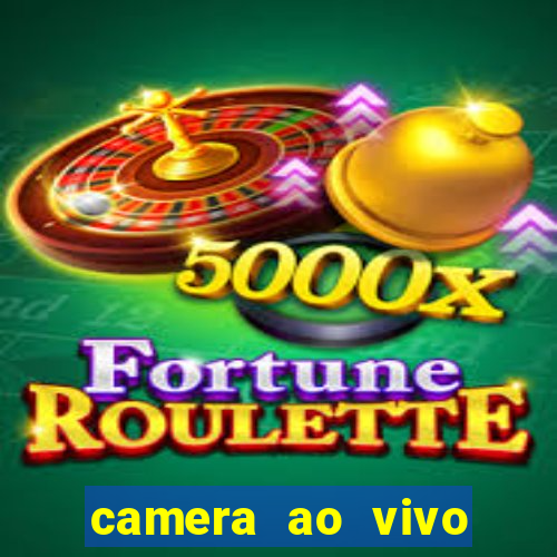 camera ao vivo porto rico