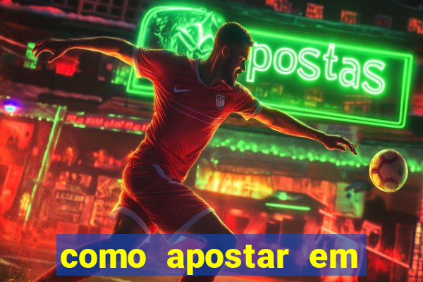 como apostar em corrida de galgos