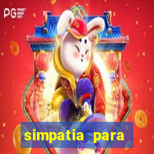 simpatia para ganhar na mega sena com arroz