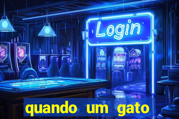quando um gato aparece do nada significado espiritual