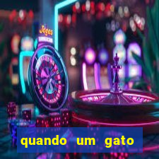 quando um gato aparece do nada significado espiritual