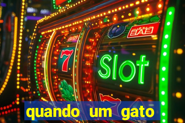 quando um gato aparece do nada significado espiritual
