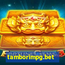 tamborimpg.bet