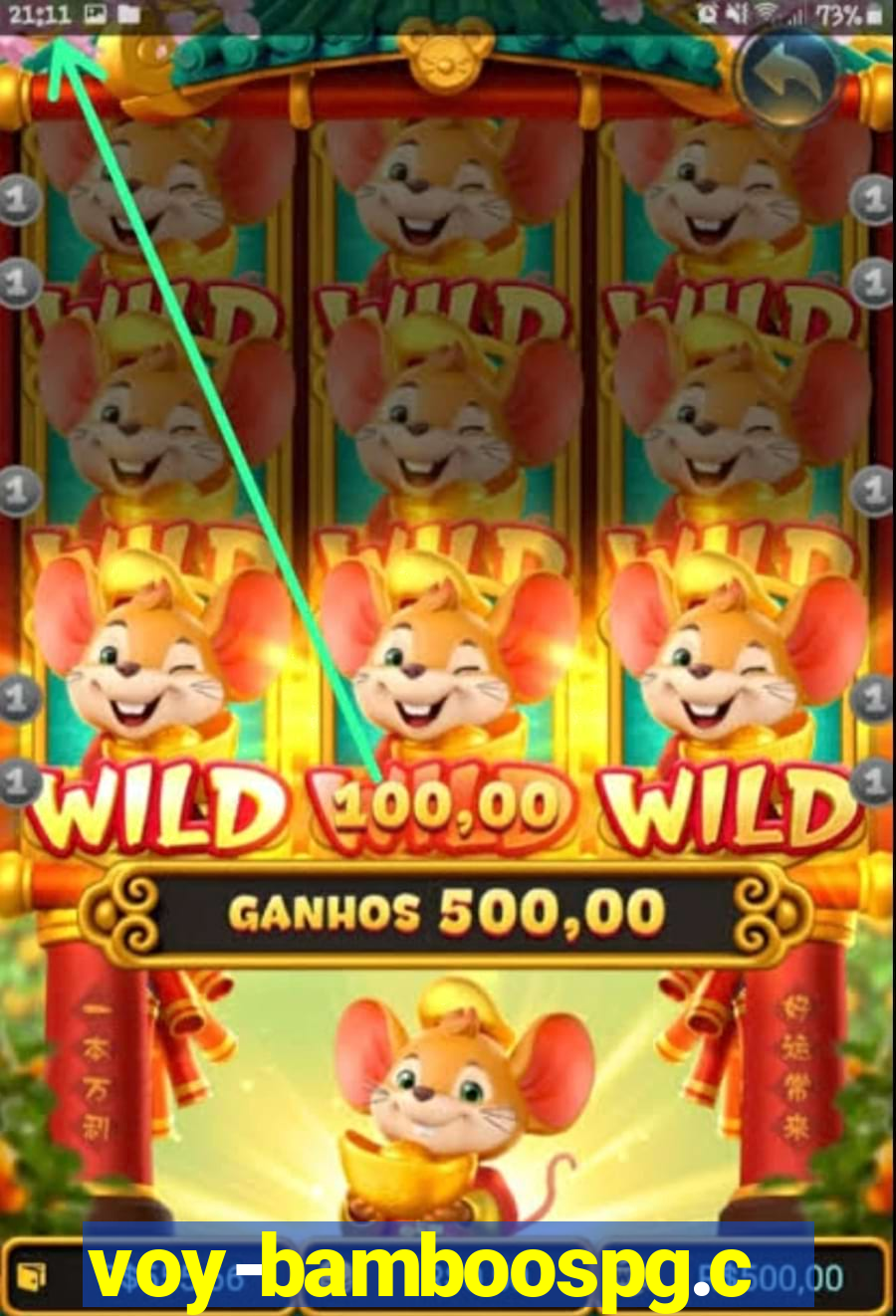 voy-bamboospg.com