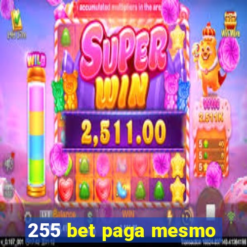 255 bet paga mesmo