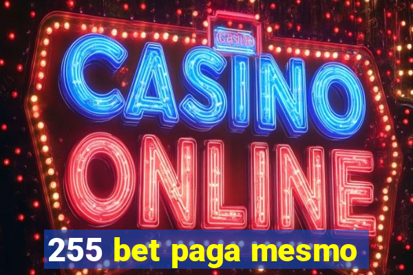 255 bet paga mesmo