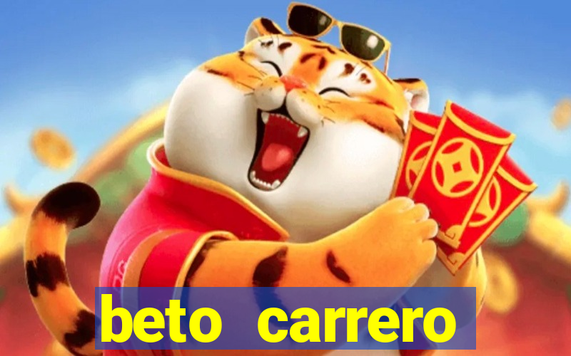 beto carrero cidades proximas