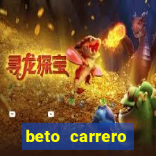 beto carrero cidades proximas