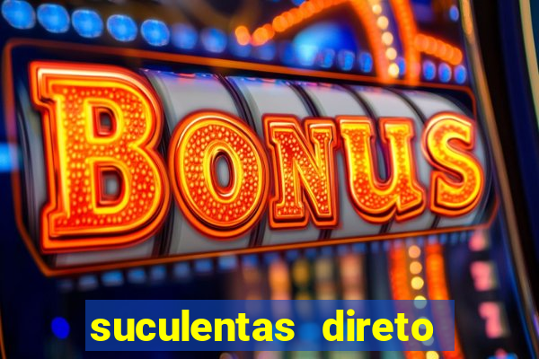suculentas direto do produtor rs