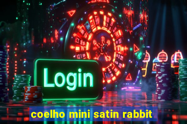coelho mini satin rabbit
