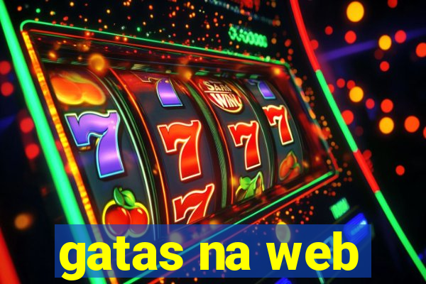 gatas na web
