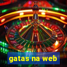 gatas na web