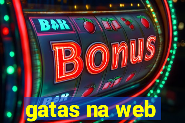 gatas na web