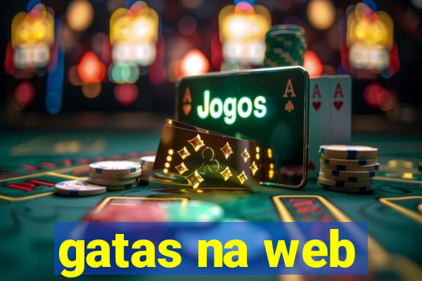 gatas na web