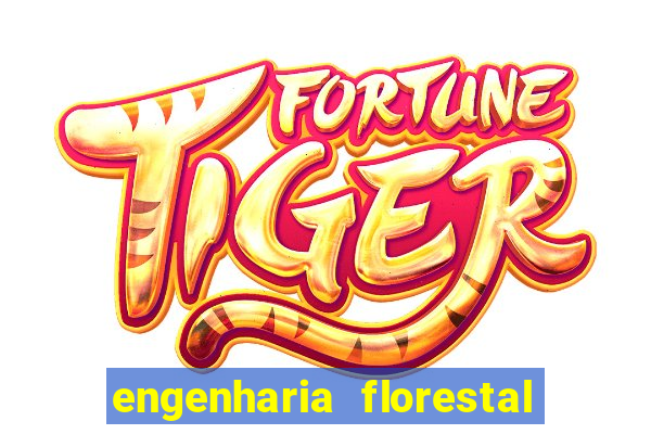engenharia florestal ead cruzeiro do sul