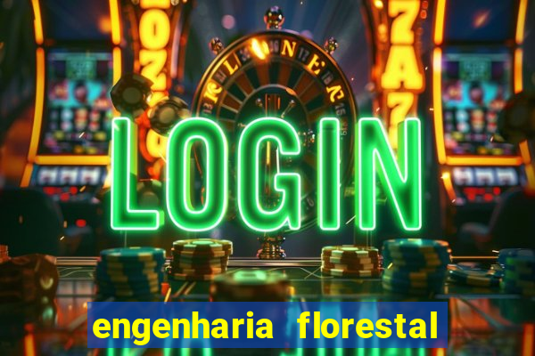 engenharia florestal ead cruzeiro do sul