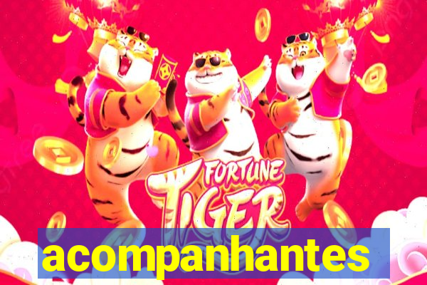 acompanhantes travestis santos