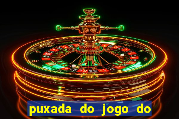puxada do jogo do bicho da sueli
