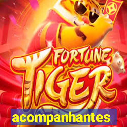 acompanhantes chamadas de video
