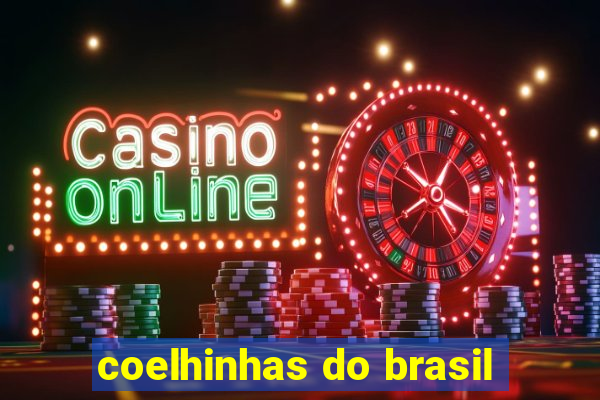 coelhinhas do brasil