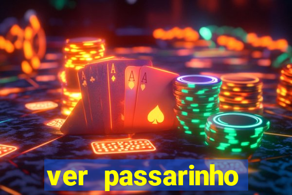 ver passarinho morto significado espiritual