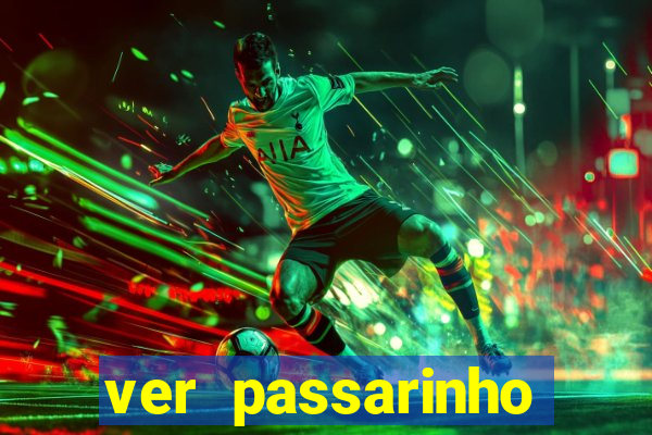 ver passarinho morto significado espiritual
